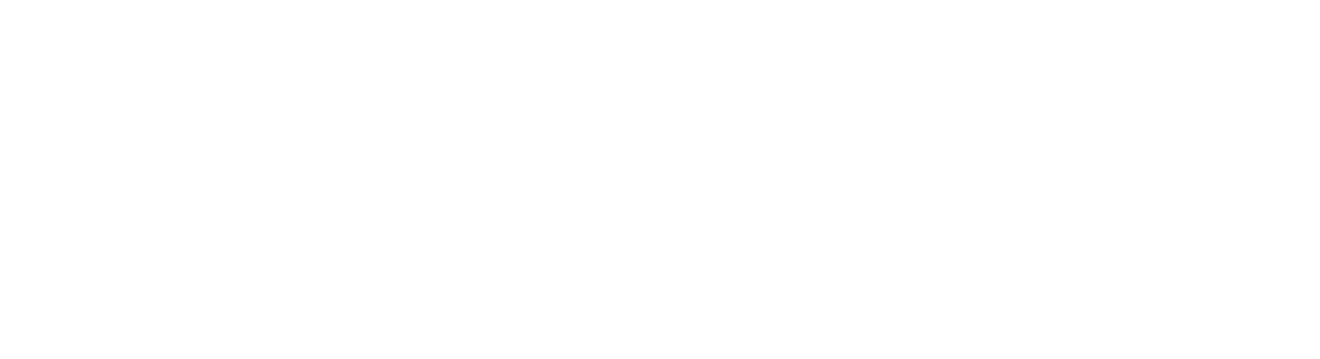 LOGO INTERMEDIA